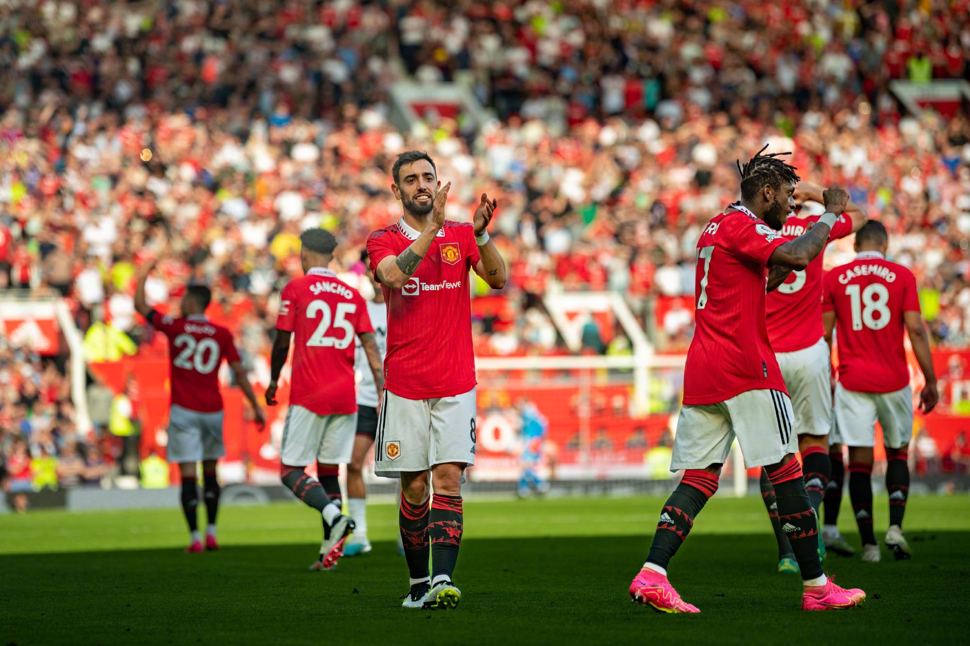 不仅展示了 不仅展示了